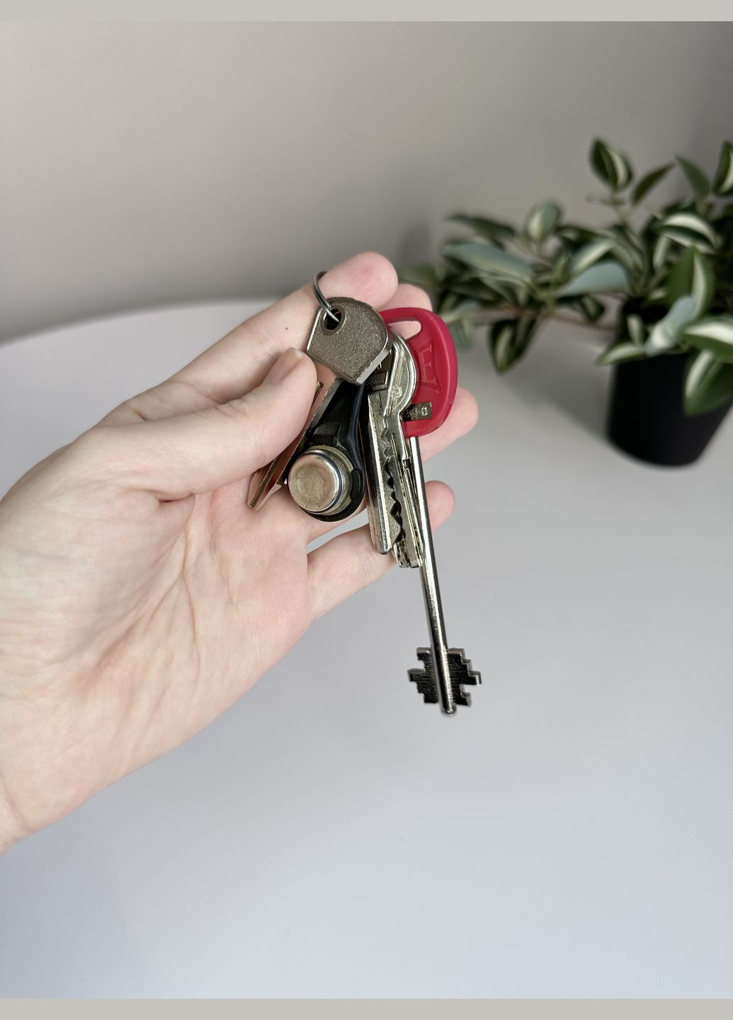 Ключниця шкіряна для звичайних ключів на блискавці з кільцем VI&VA (292562452)