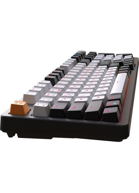 Клавиатура MK170B HotSwap Red Swich RGB USB UA Black (MK170B) GAMEPRO MK170B Hot-Swap Red Swich RGB USB UA Black (316223064)