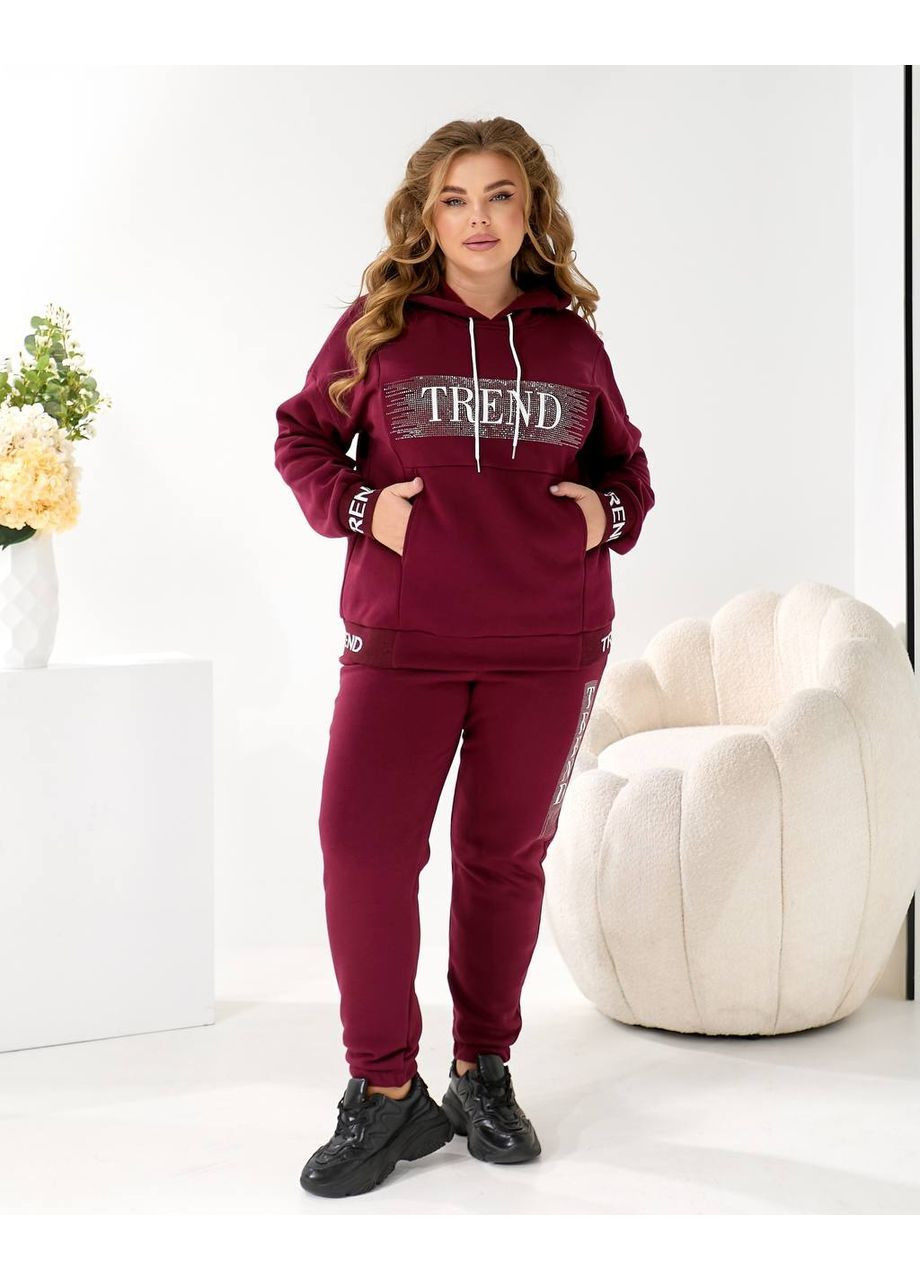 Жіночий теплий спортивний костюм Asi.Store.ua (368338455)