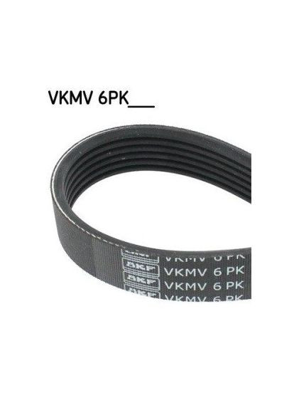 Дорожный ремень SKF (366107795)