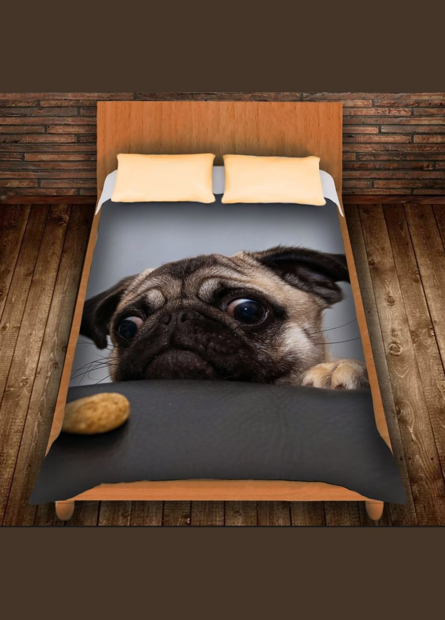 Плед с 3D принтом - Мопс и печенька Перша Креативна мануфактура PERFECTUS Плед (301869022)