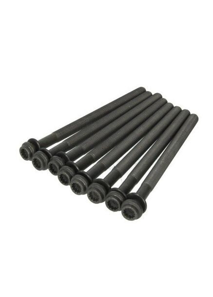 Комплект болтів гбц REINZ 14-32324-01 Victor Reinz (347159998)