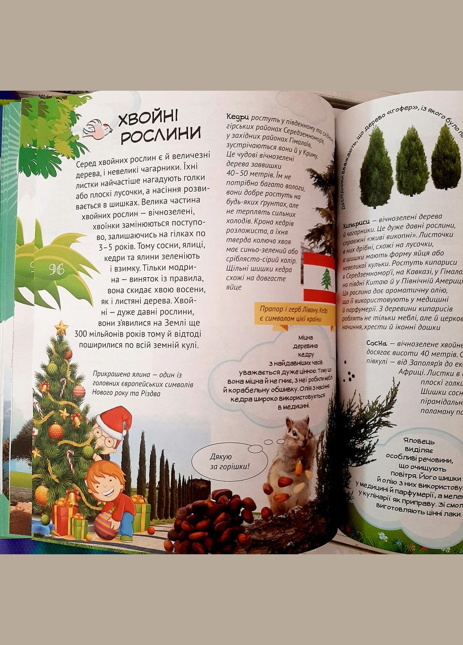 Книга Все про все Велика енциклопедія молодшого школяра Батий Я. вид. укр РАНОК (312507785)