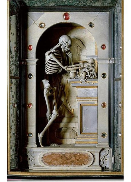 Книга Massimo Listri. Cabinet of Curiosities. 40th Ed. (9783836593786) Taschen (364656348)