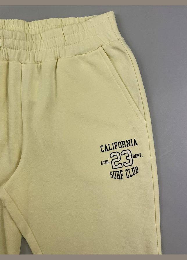 Стильний костюм для дівчинки Mevis (336714400)