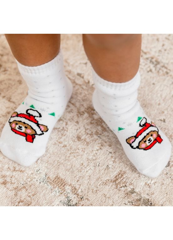 Носки детские уни NSU-1016 махровые (в уп.6 шт) GABBI (360324240)