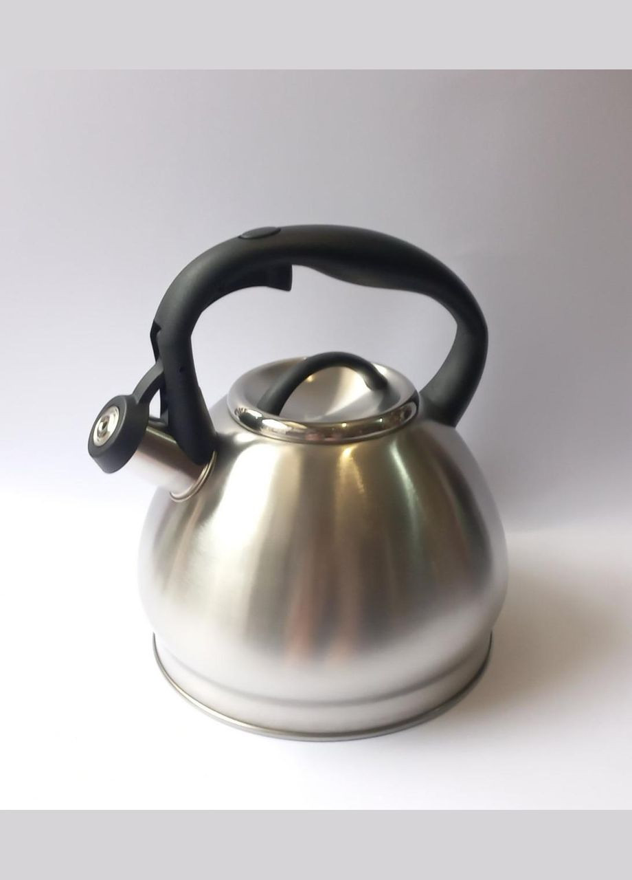 Чайник Econom зі свистком 3,0 л WK-1374 A-Plus (301941356)