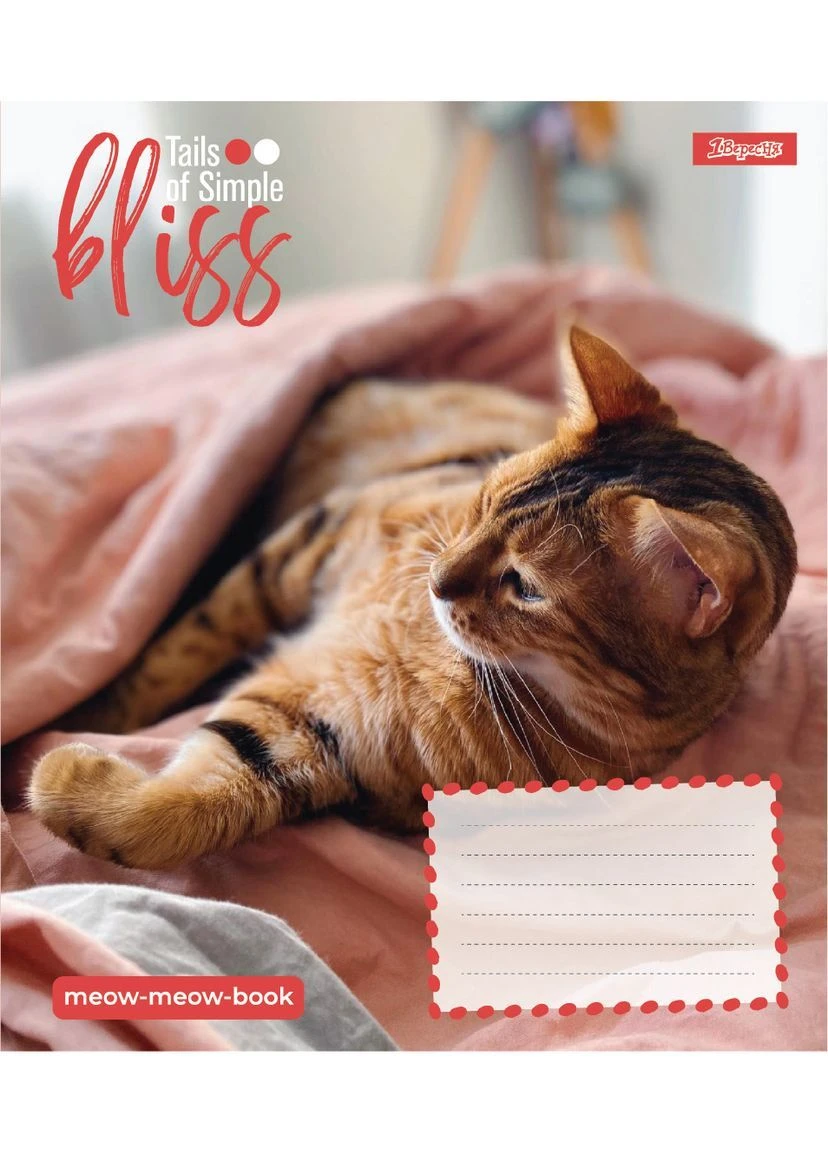 Набір зошитів шкільних 1Bересня А5/12 коса лінія Bliss 25 шт (768053) 1 Вересня (387584997)