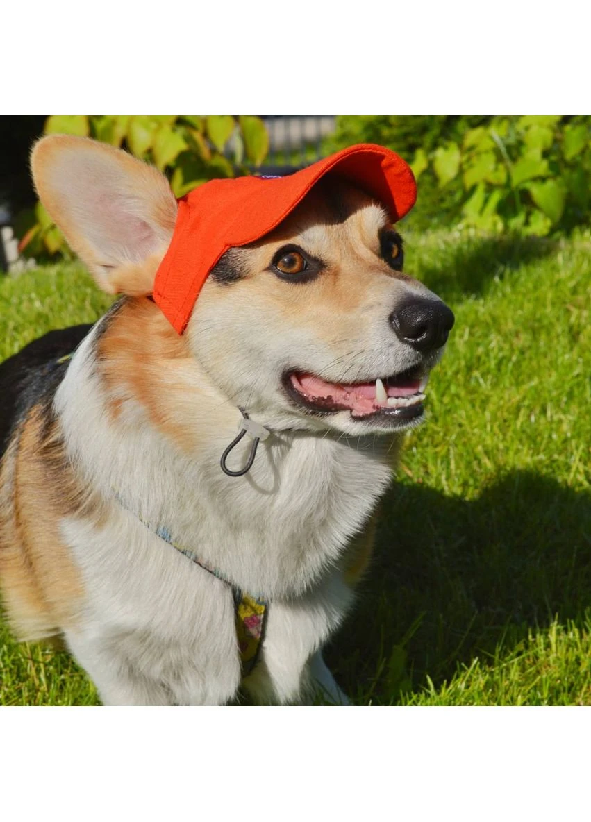 Кепка для собак из льна Красная S Hat-Dog (391442841)