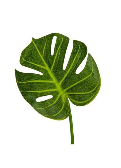 Набор из 6 шт. лист Монстера 62 см (9082-004) ELISEY (362413374)