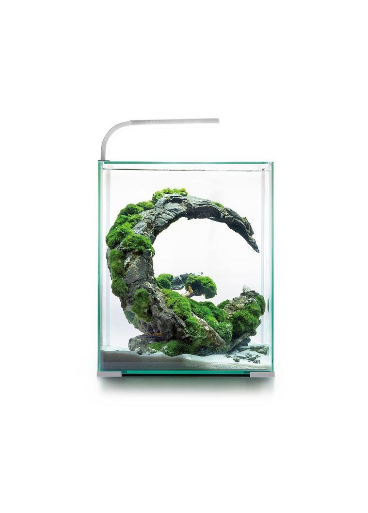 Акваріум Smart Day & Night для креветок, білий, 19 л Aquael (365592946)