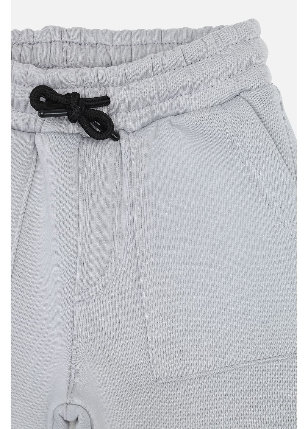 Серые зимние брюки Asya