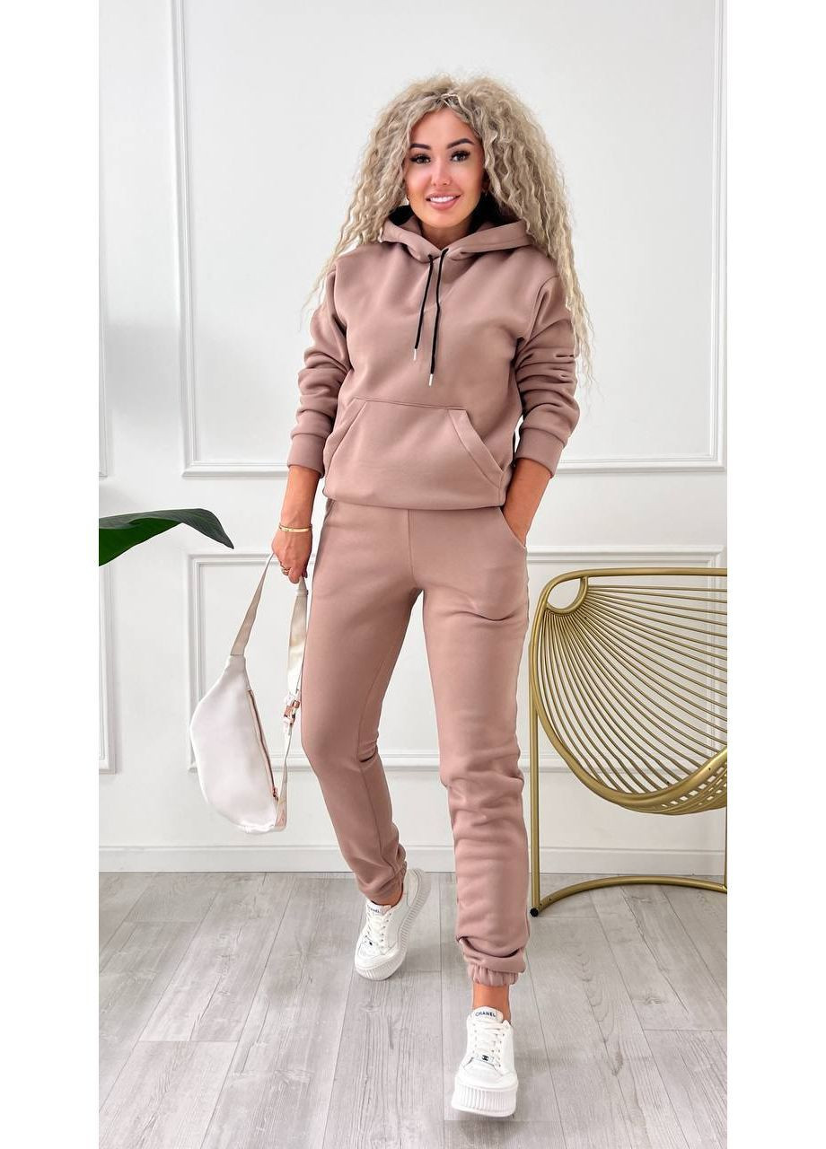Костюм2-ка двійка тринитка на флісі худі з капюшоном та штани Джогери Україна (364653081)