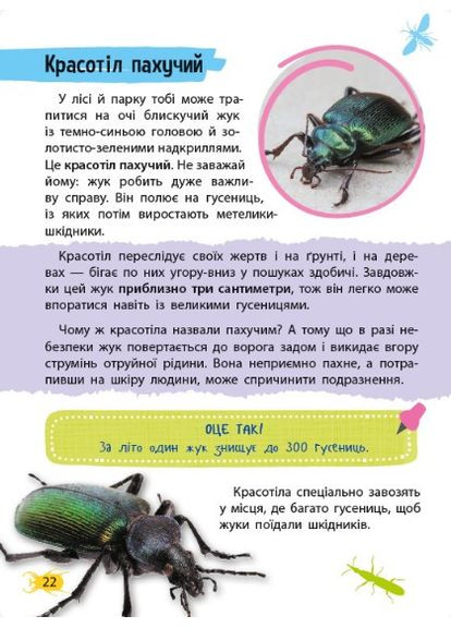 Мініенциклопедія. Комахи та павуки Виват (316080664)