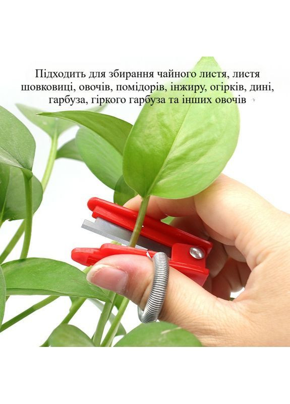 Секатор на палець для пасинкування томатів, збирання овочів та ягід, з металевим лезом і пружиною червоний No Brand (371915004)