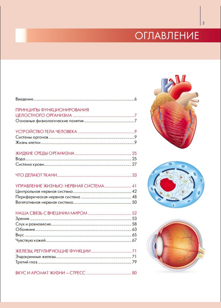 Анатомія та фізіологія. Великий популярний атлас. Габріель Біліч No Brand (366970294)