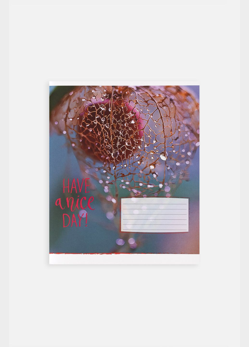 Зошит учнівський в лінію колір різнокольоровий CB-00255163 Фабрика Поліграфіст (319128049)