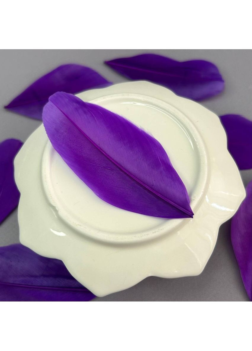 Пір'я гусячі для рукоділля 5-7 см, ∼50шт - фіолетовий Plus-plus (354794906)