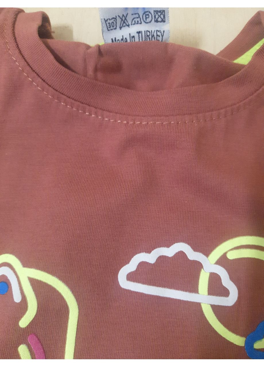 3Д Футболка для хлопчика Динозаври Туреччина теракота розміри 86 - 110 No Brand (370389595)