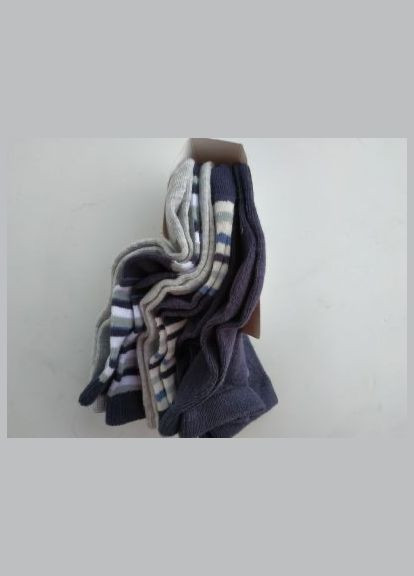 Шкарпетки, 6 шт Kuniboo (317299765)