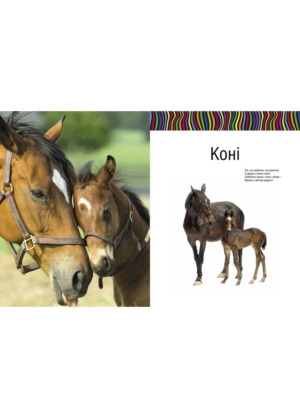 Малята-звірята Видавництво "Апріорі" (354253637)