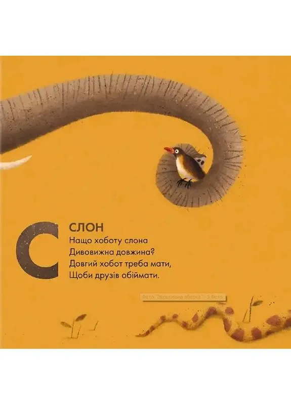Звіршована абетка No Brand (397894058)