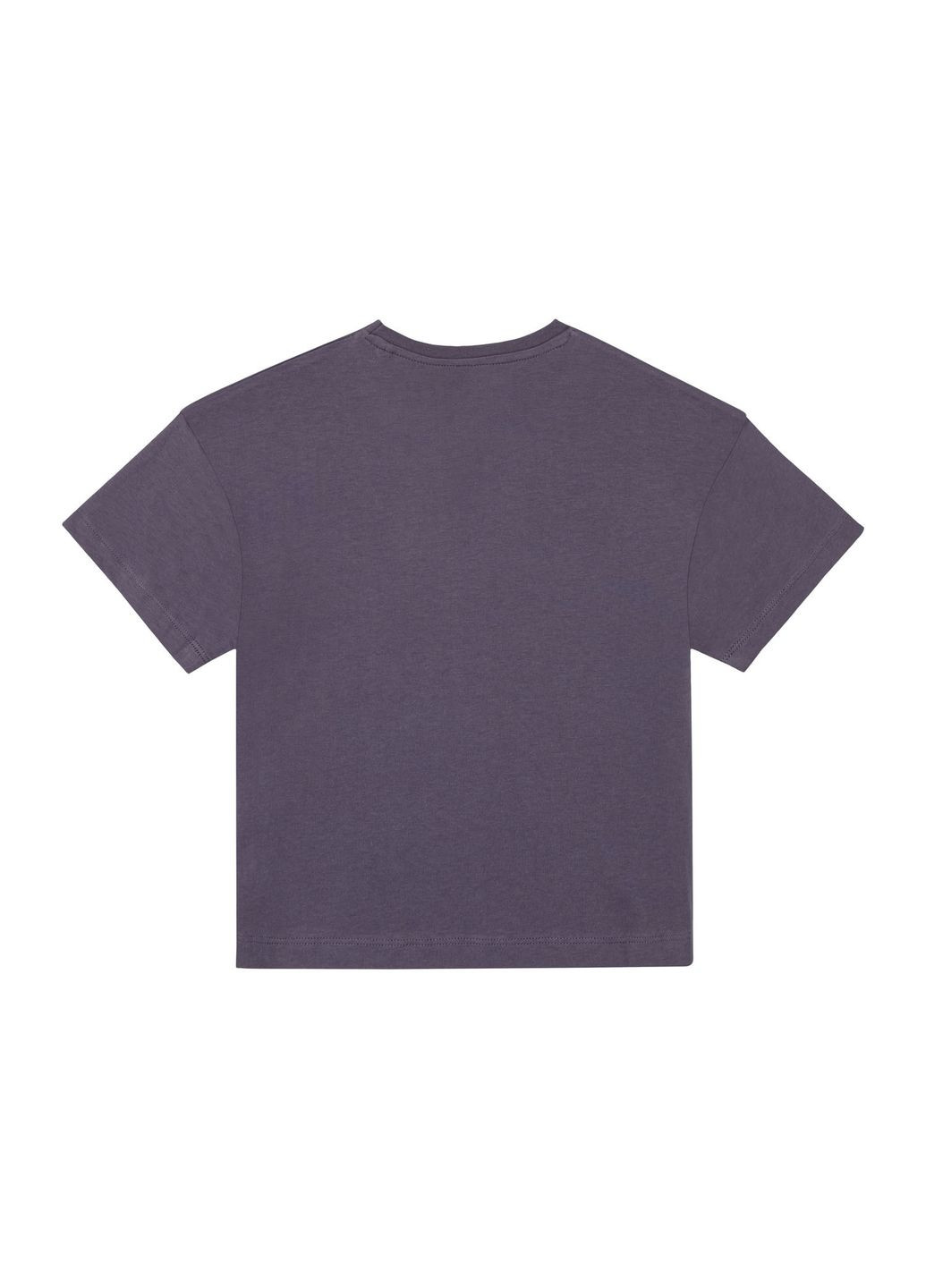 Комбинированная демисезонная футболка набор 3 шт. хлопковые для девочки lidl 372619 Pepperts