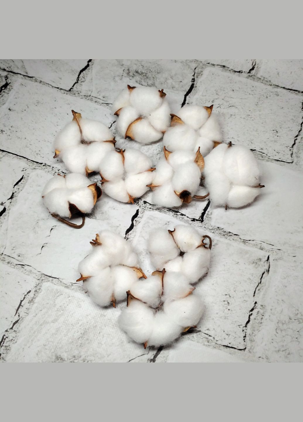 Натуральный хлопок сухоцвет головки хлопка 10 шт 4-5 см Белый No Brand (327368055)