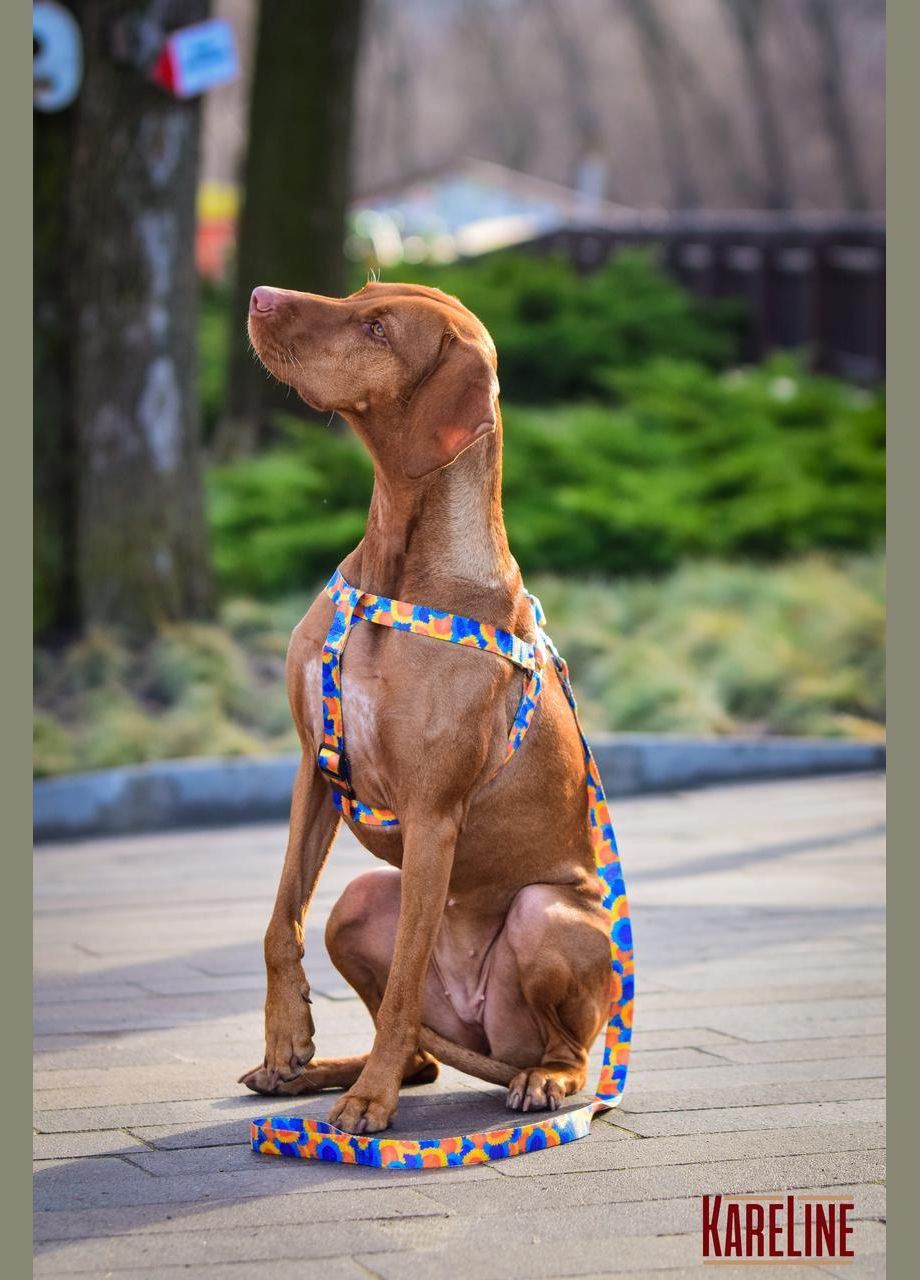 Поводок из нейлона с узором "SUNFLOWERS" 20 мм 1200 мм Kareline (339075054)