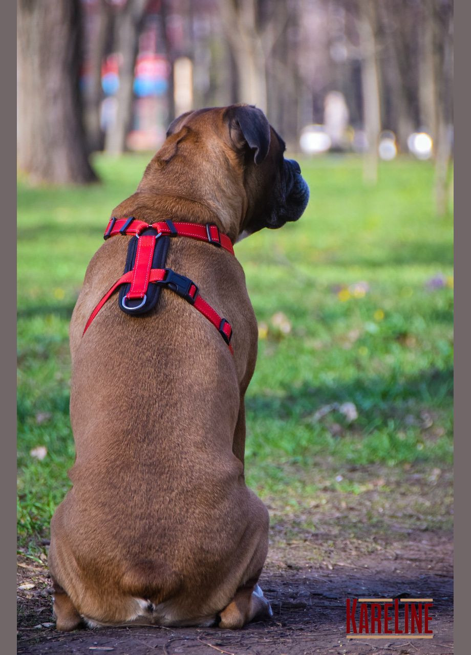 Шлея з нейлону зі світловідбивною ниткою та пластиковою пряжкою 25 мм А:500-640 мм, В:660-900 мм Kareline (339075467)