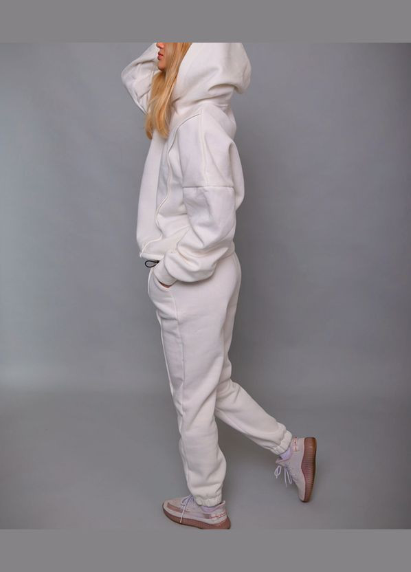 Женский теплый спортивный костюм с капюшоном, турецкая трехнитка на флисе No Brand (315408736)