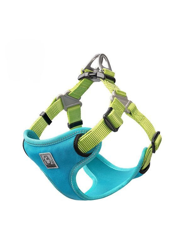 Шлейка для собак TLH5951 светоотражающая с мягкой подкладкой, регулируемая, S Голубой Truelove (373444069)