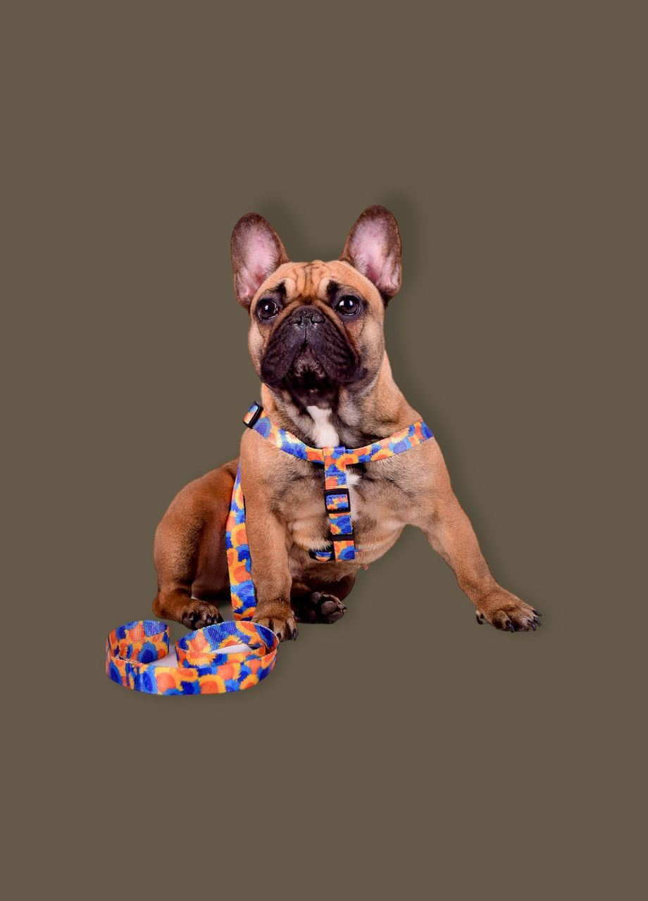 Шлей из нейлона с узором "SUNFLOWERS" и пластиковой пряжкой 25 мм А:500-680 мм, В:500-720 мм Kareline (339075339)