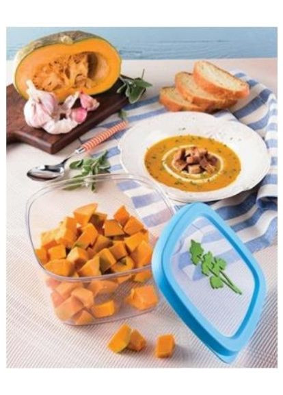 Контейнер для зберігання 1,5 л Snips блакитний судок для їжі харчовий пластик для кухні та пікніка ProDobro (367265669)