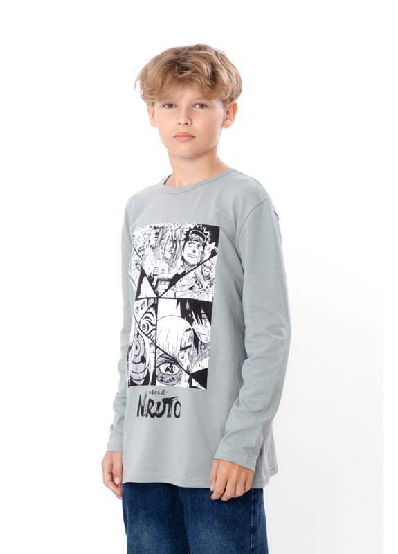 Носи своє джемпер для хлопчика (підлітковий) (p-17620) персонажі сірий повсякденний