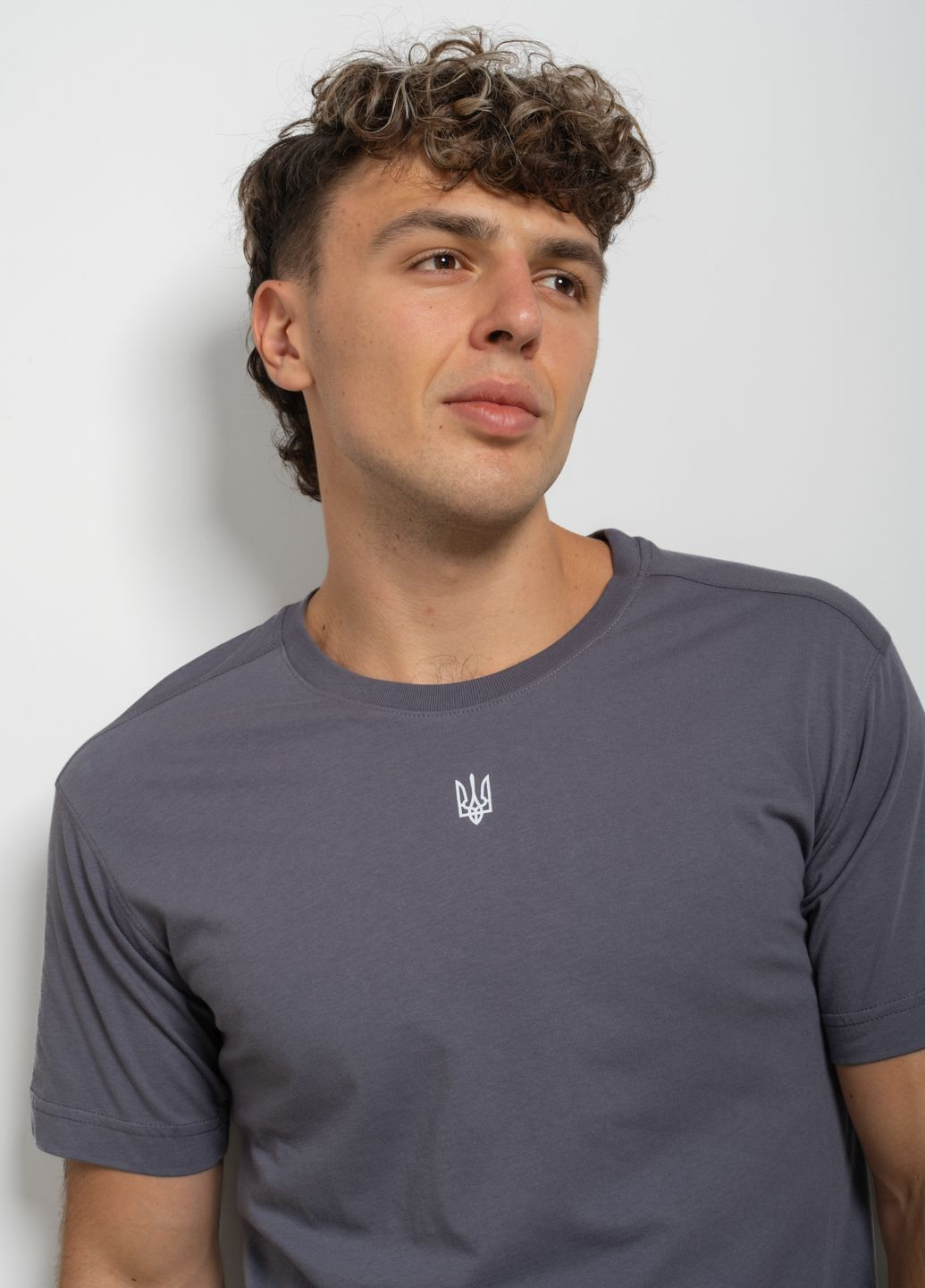 Сіра футболка чоловіча сіра з принтом 344248 Power