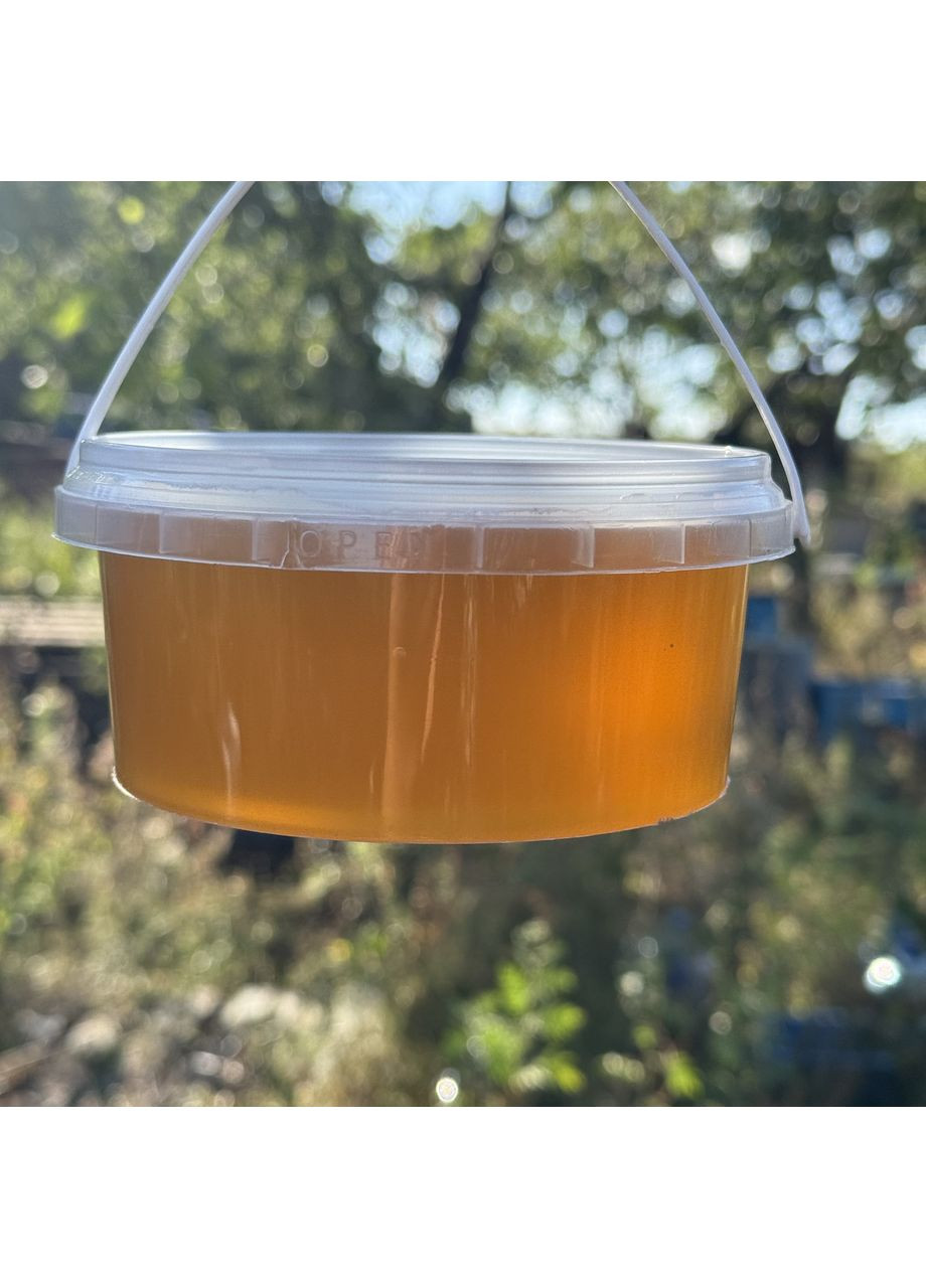 Мед Різнотрав'я світле з кочової пасіки 0,5 л (700 грам) 2025 р МЕД ПОШТОЮ (356103769)