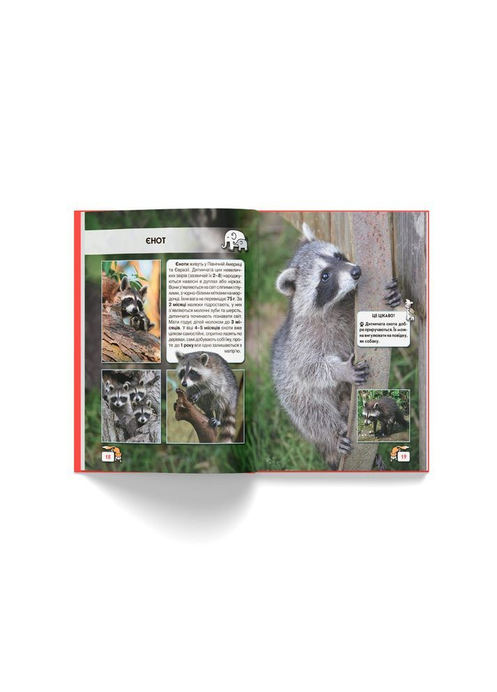 Фотоенциклопедія. Світ навколо нас. Малята тварин () Кристал Бук F00020867 (372129818)
