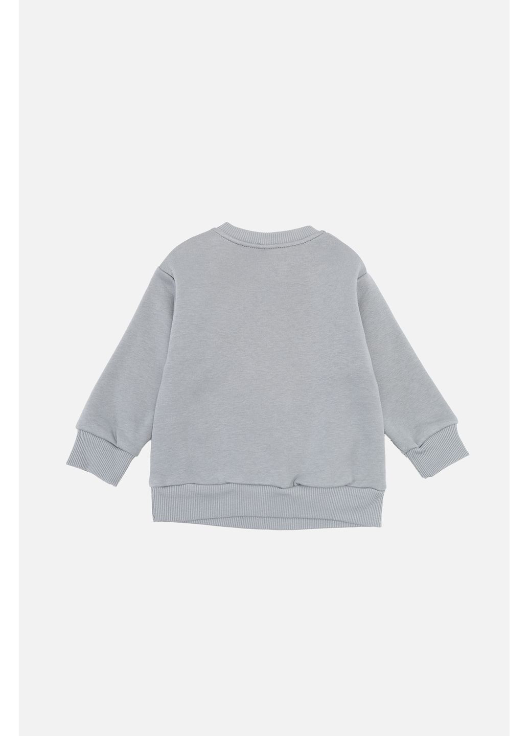 Серый зимний костюм с штанами для мальчика цвет серый cb-00283910 Iggy