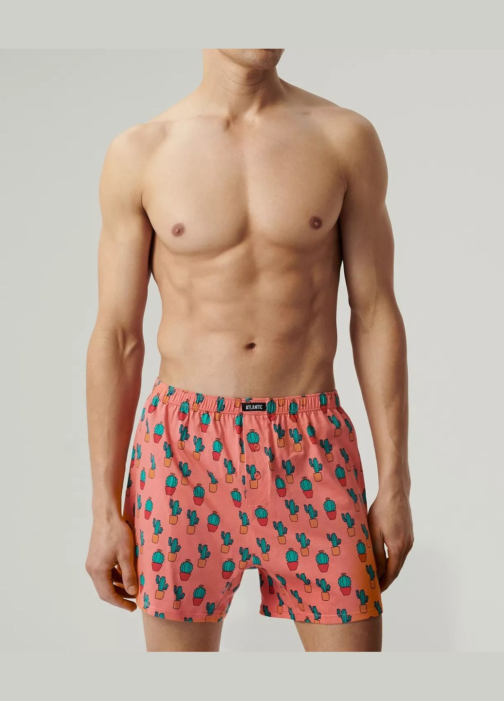 Чоловічі сімейні труси боксери Atlantic (328387696)