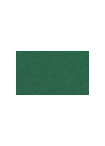 Папір для пастелі Tiziano А3 (29,7х42см) 160г/м2 37 biliardo/ 72942137 Fabriano (368863278)