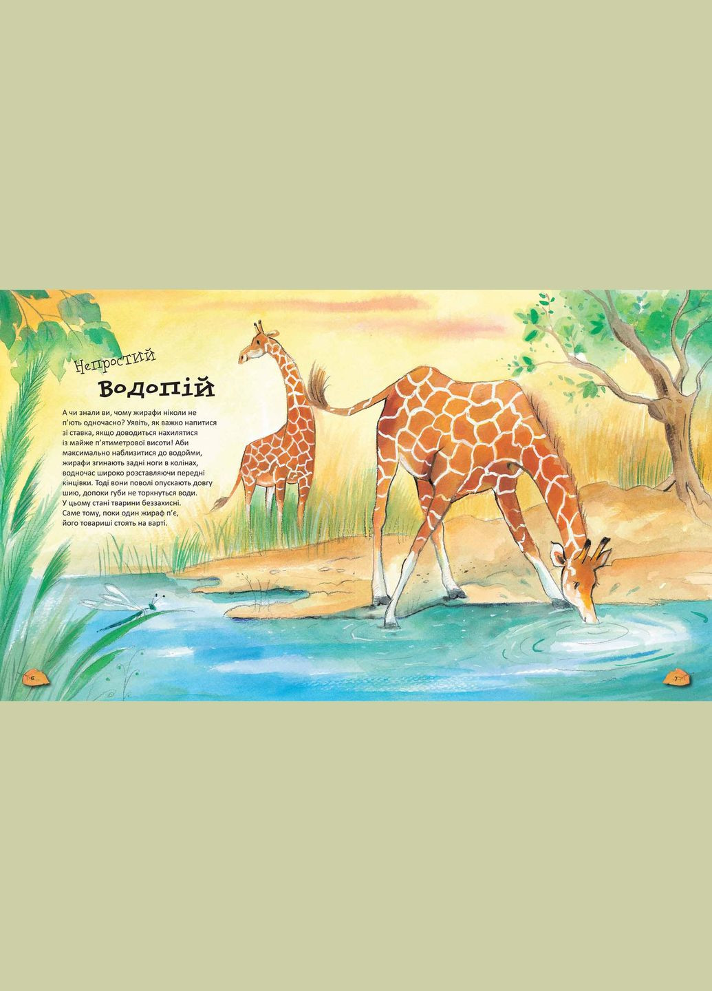 Удивительные животного мира Видавничий дім Школа (316124187)