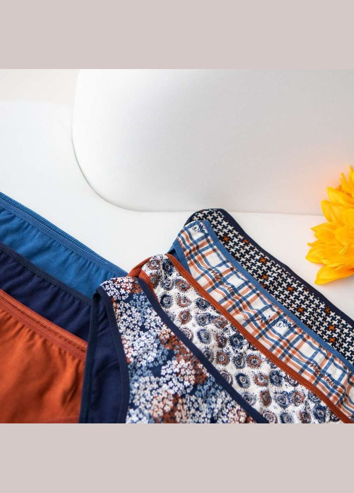 Набор женских базовых трусиков неделька - 7 шт. Nicoletta (303617412)