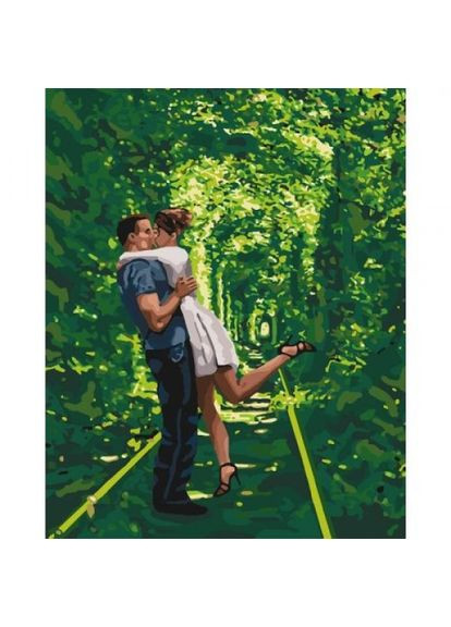 Картина за номерами "Арка кохання" ★★★★ Идейка (297443217)