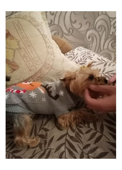 Свитер новогодний для кошек и небольших собак длина 35см Размер XL Nobrand (372128406)