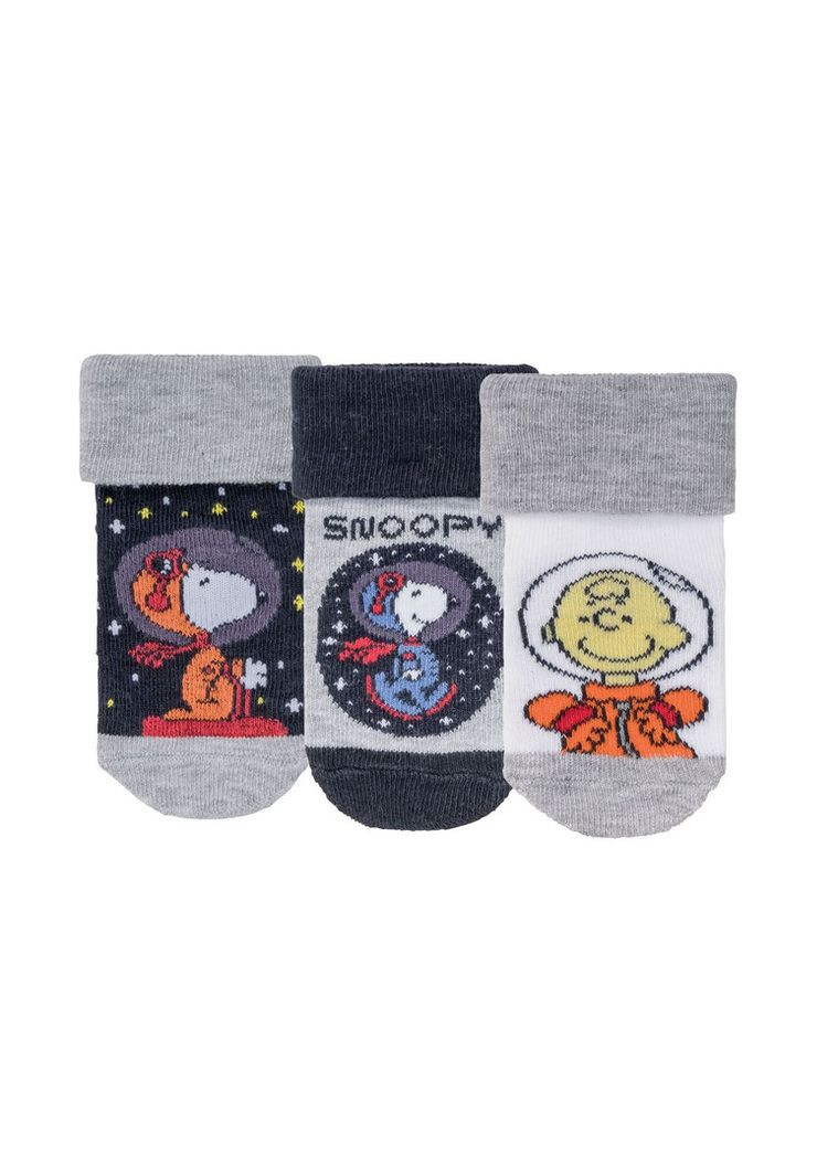 Комбіновані набір шкарпеток (носків) для хлопчика Lupilu всесезон (299387515)