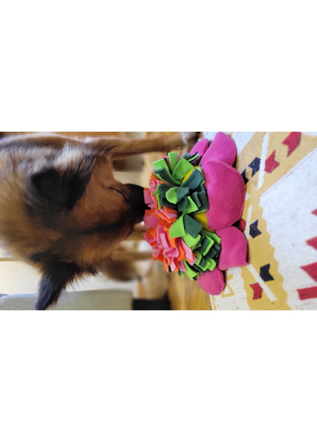 Мягкая развивающая игрушка для собак No Brand (361425653)