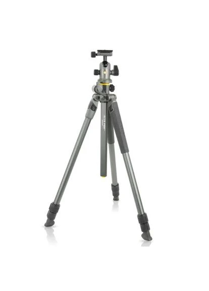 Штатив (DAS302029) Vanguard Alta Pro 2+ 263AB 100 (380504853)
