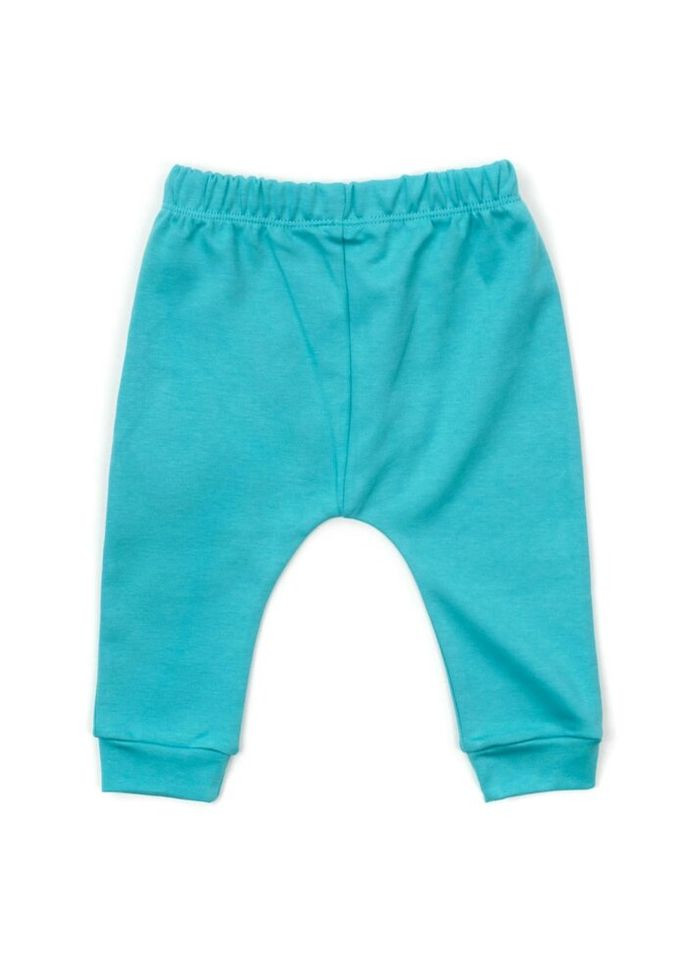 Комбінований демісезонний набір дитячого одягу з котиками (16317-62b-mint) Miniworld