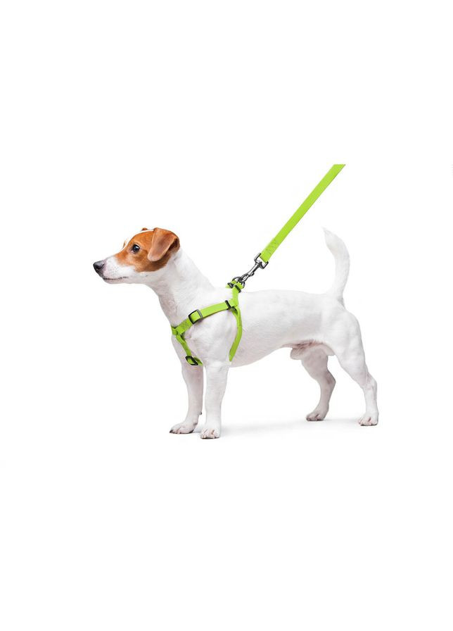 Шлея для собак водостійка Waterproof, c QR паспортом, металічна пряжка-фастекс, Ш 15 мм, Дов 40-55 см салатовий WAUDOG (326836907)